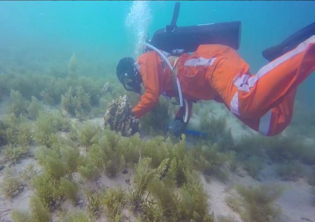 凯时尊龙人生就是博·Z6(中国)首页官网