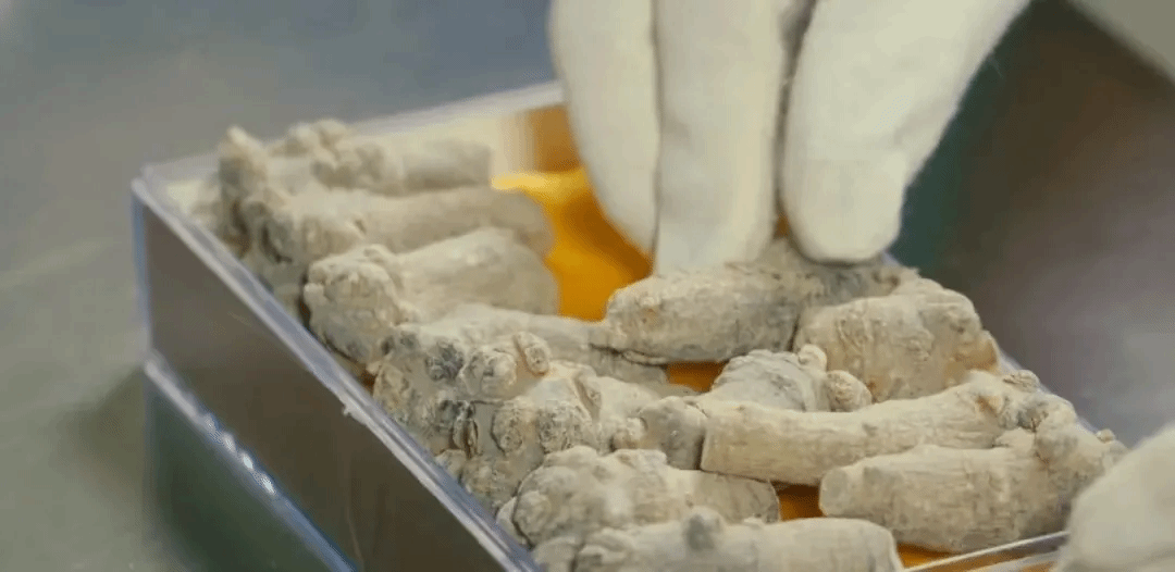 凯时尊龙人生就是博·Z6(中国)首页官网