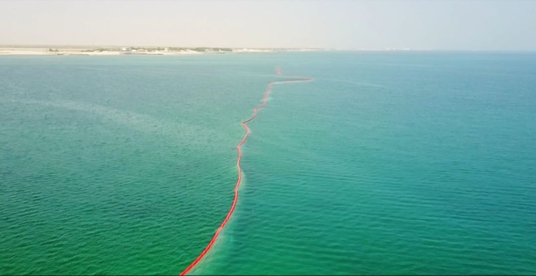 凯时尊龙人生就是博·Z6(中国)首页官网