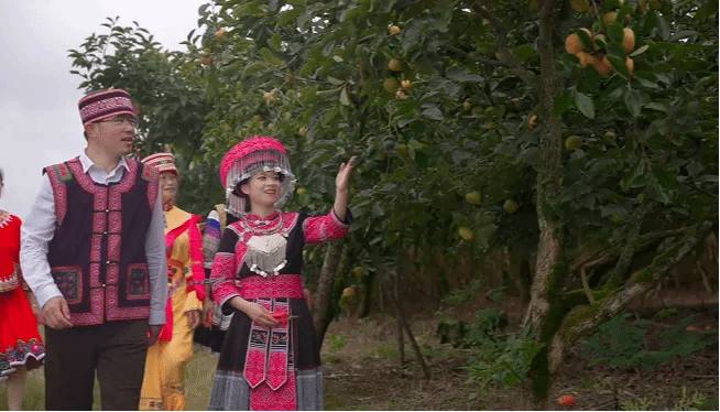 凯时尊龙人生就是博·Z6(中国)首页官网