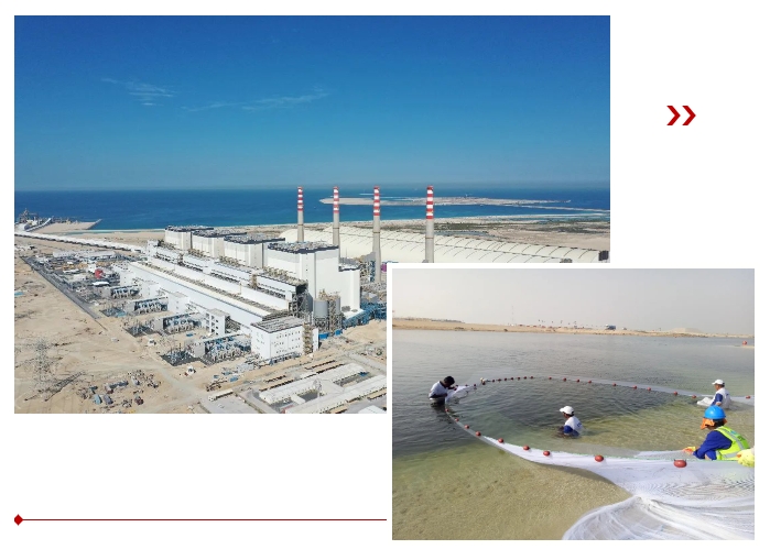 凯时尊龙人生就是博·Z6(中国)首页官网