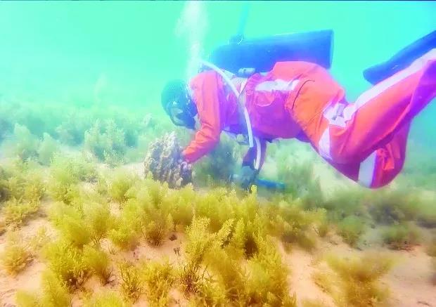 凯时尊龙人生就是博·Z6(中国)首页官网