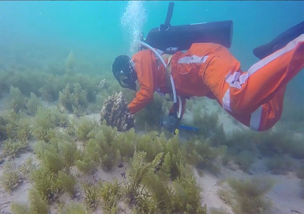 凯时尊龙人生就是博·Z6(中国)首页官网