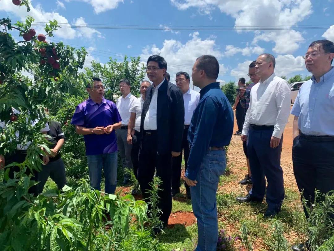 凯时尊龙人生就是博·Z6(中国)首页官网