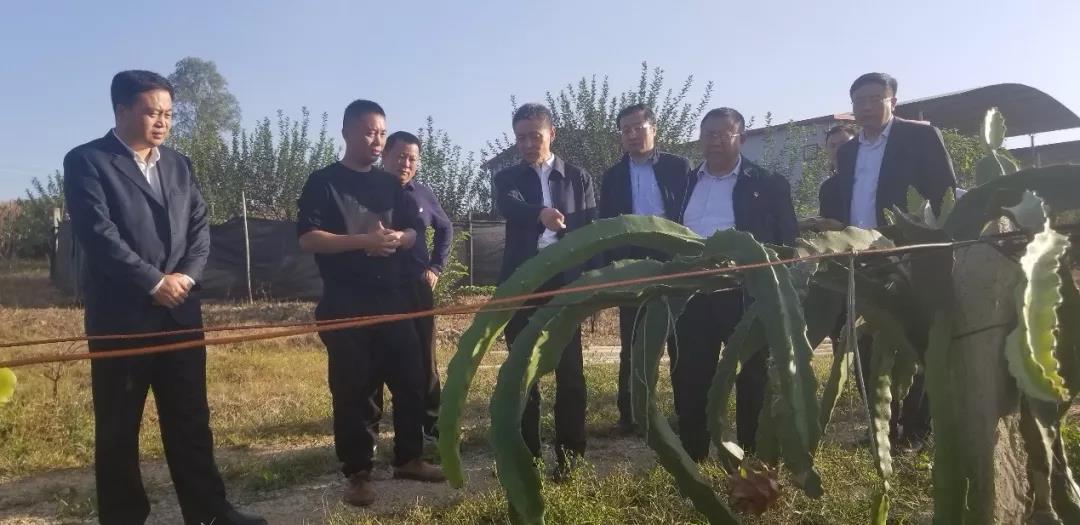 凯时尊龙人生就是博·Z6(中国)首页官网