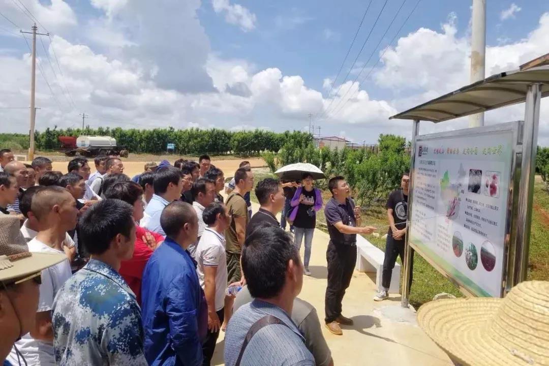 凯时尊龙人生就是博·Z6(中国)首页官网