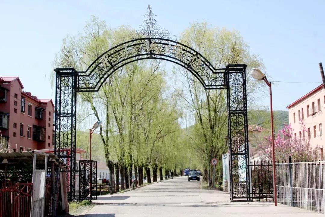 凯时尊龙人生就是博·Z6(中国)首页官网