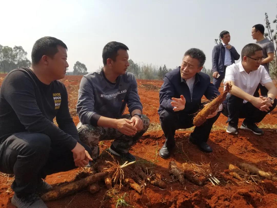 凯时尊龙人生就是博·Z6(中国)首页官网