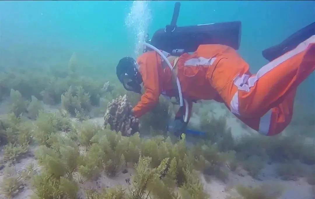 凯时尊龙人生就是博·Z6(中国)首页官网